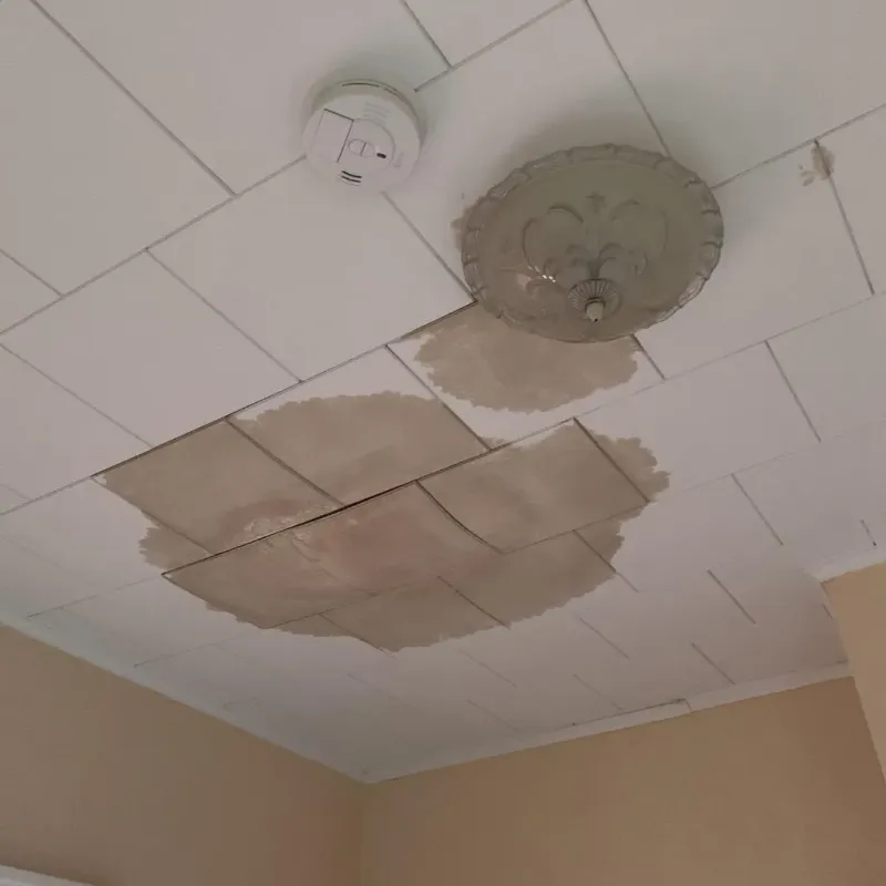 Ceiling Water Damage Repair in Juncos, PR