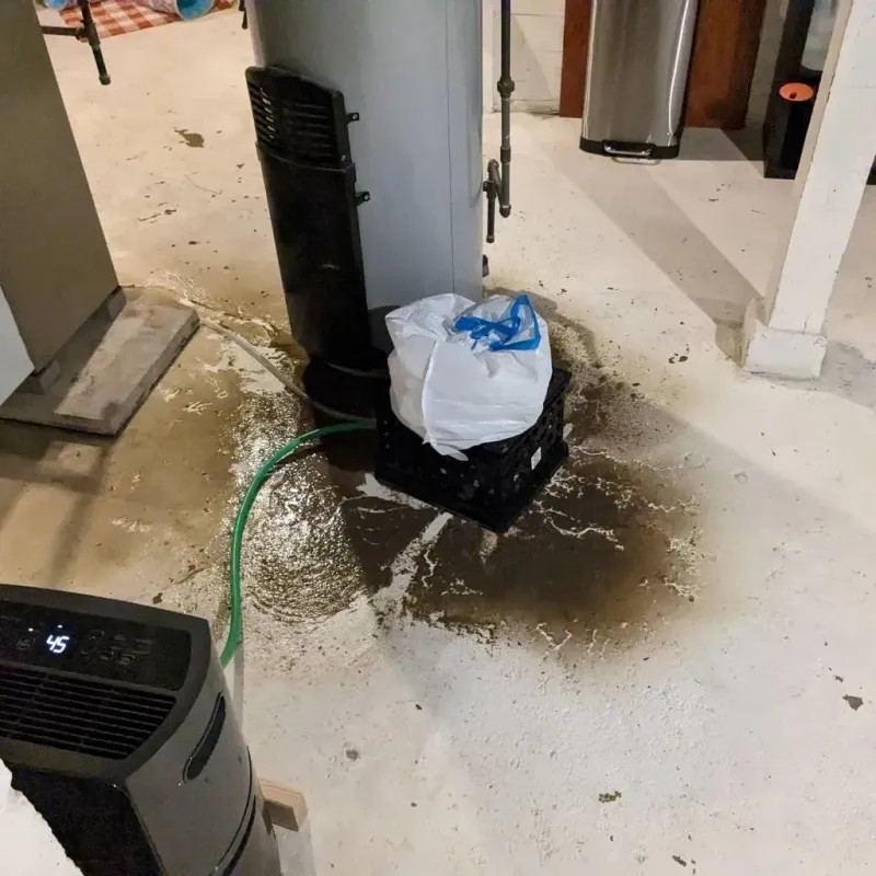 Sewage Backup Cleanup Service in Juncos, PR